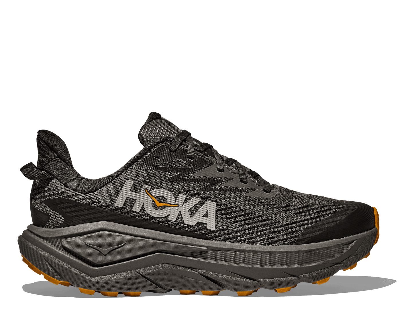 Hoka Challenger ATR 8 GTX Mens Trail Running Shoes - Bog Dog Running