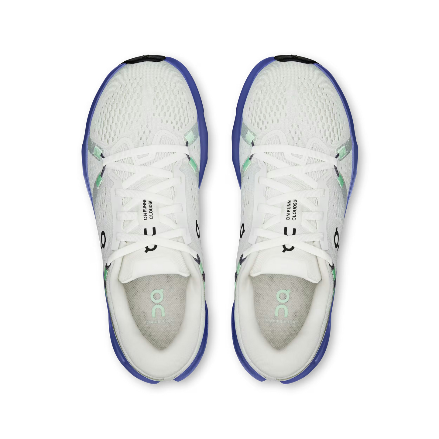 On Cloudsurfer 2 Women's Running Shoe - Bog Dog Running