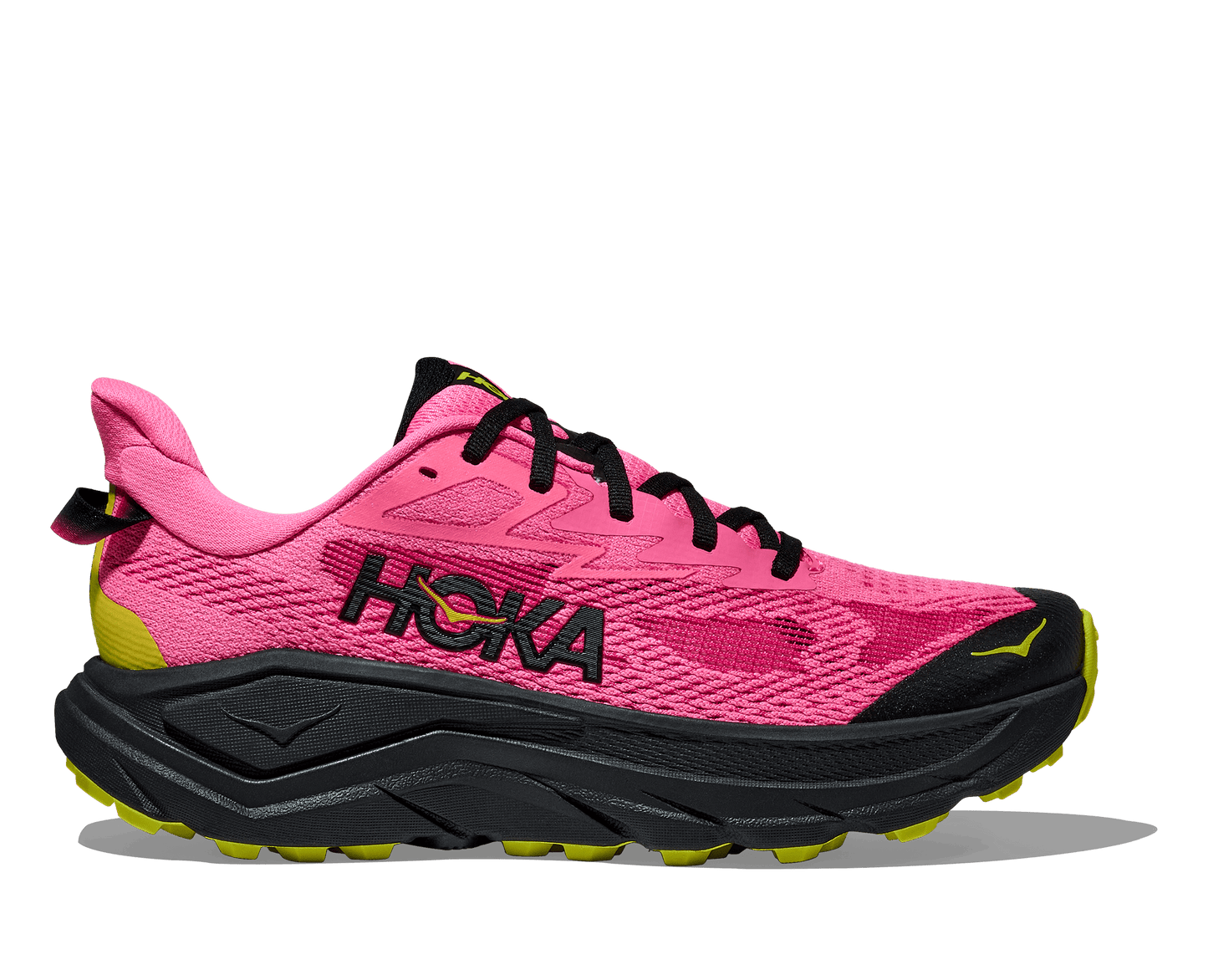 Hoka Challenger 8 Women's Running Shoe - Bog Dog Running