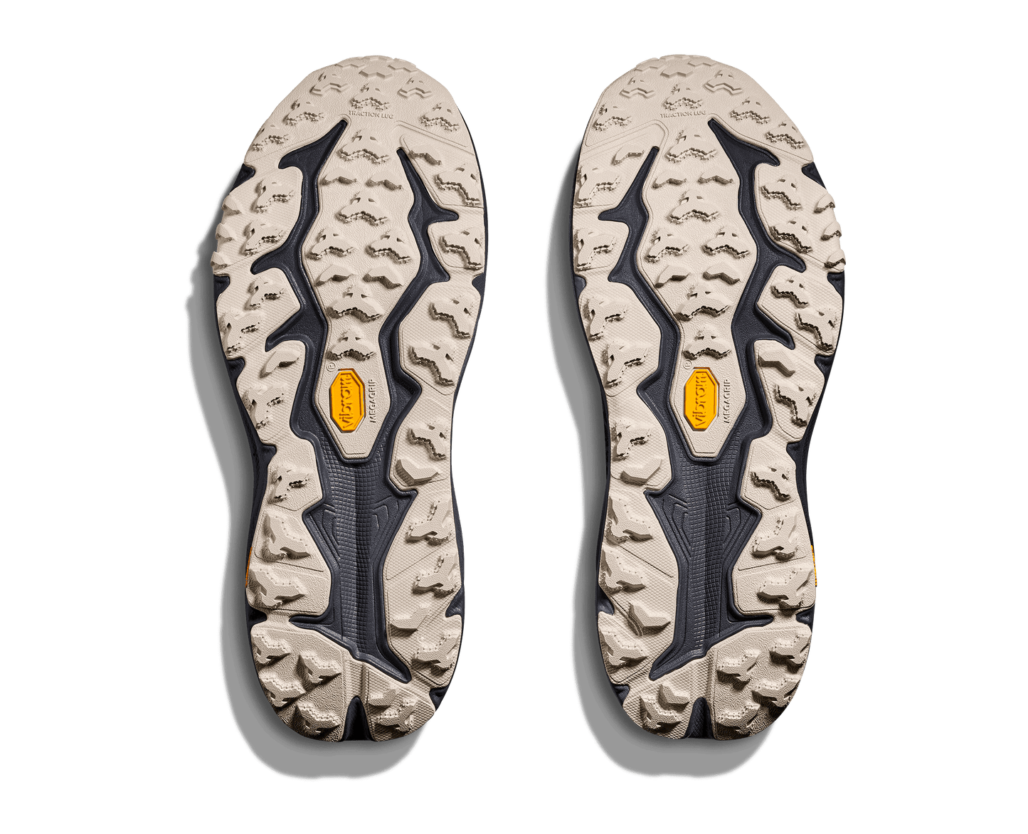 Hoka Speedgoat 6 GTX Men's Trail Running Shoe - Bog Dog Running