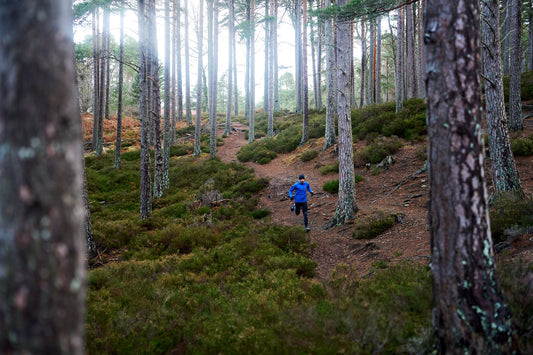 The Powerful Health Benefits of Outdoor Running: Heart, Bones, and Beyond
