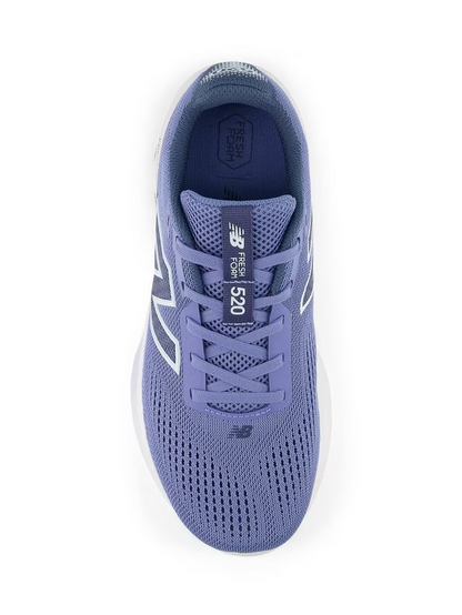 New Balance 520v9 Women's Running Shoe - Bog Dog Running