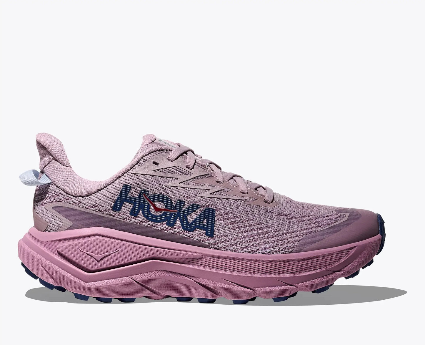 Hoka Challenger 8 GTX Women's Running Shoe - Bog Dog Running