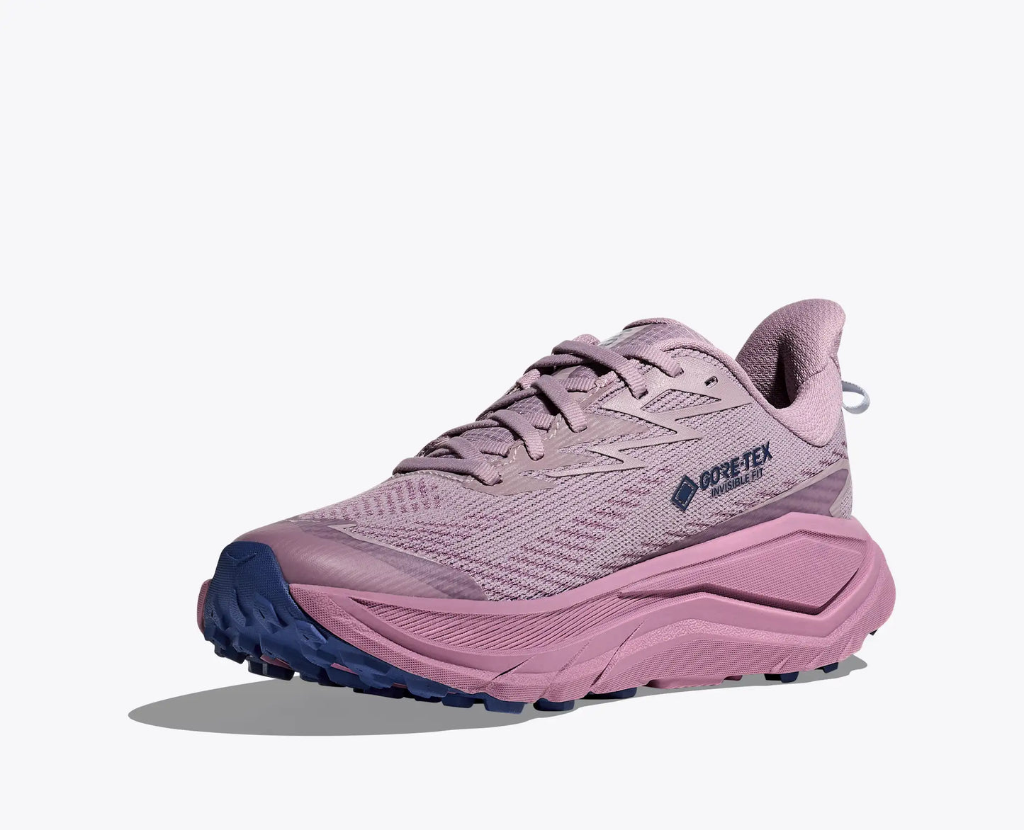 Hoka Challenger 8 GTX Women's Running Shoe - Bog Dog Running