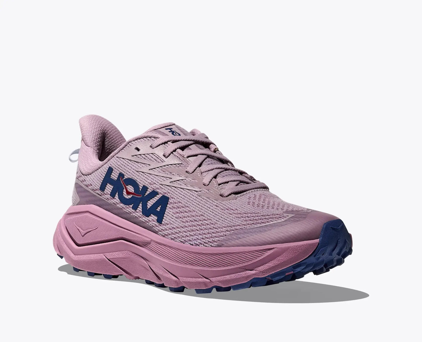 Hoka Challenger 8 GTX Women's Running Shoe - Bog Dog Running