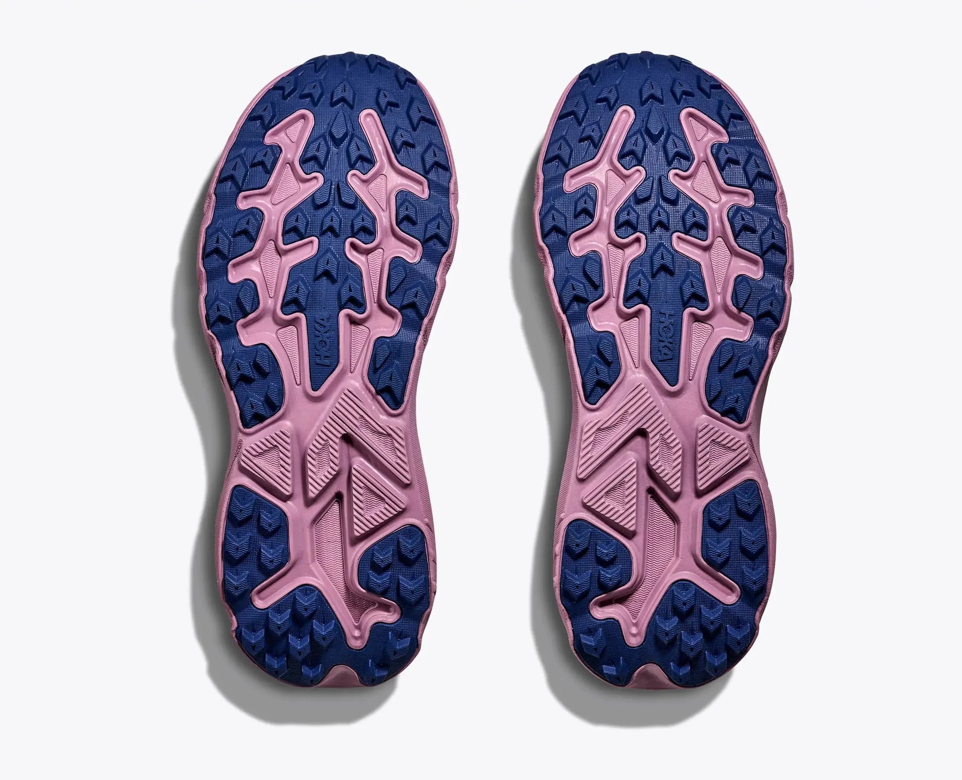 Hoka Challenger 8 GTX Women's Running Shoe - Bog Dog Running