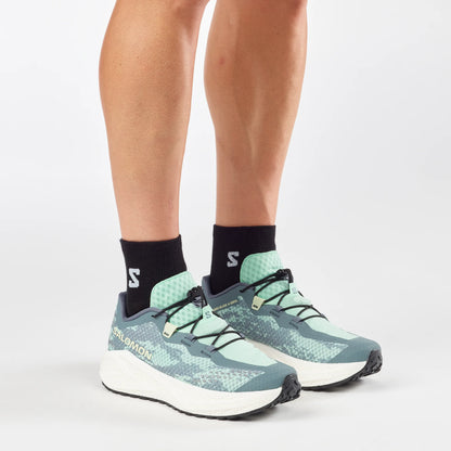 Salomon Aero Glide 4 GRVL Men's Running Shoe - Bog Dog Running