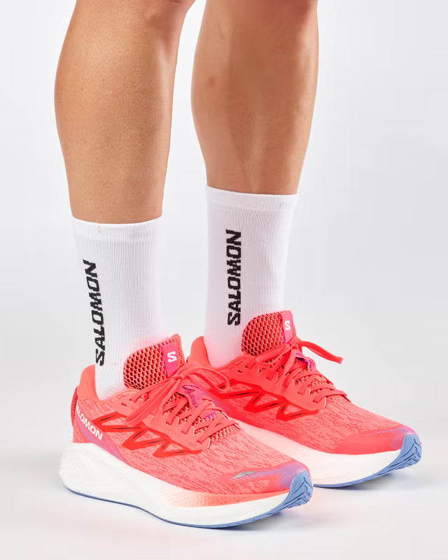 Salomon Aero Glide 4 Men's Running Shoe - Bog Dog Running