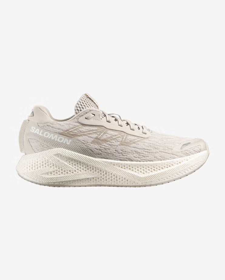 Salomon Aero Glide 4 Men's Running Shoe - Bog Dog Running