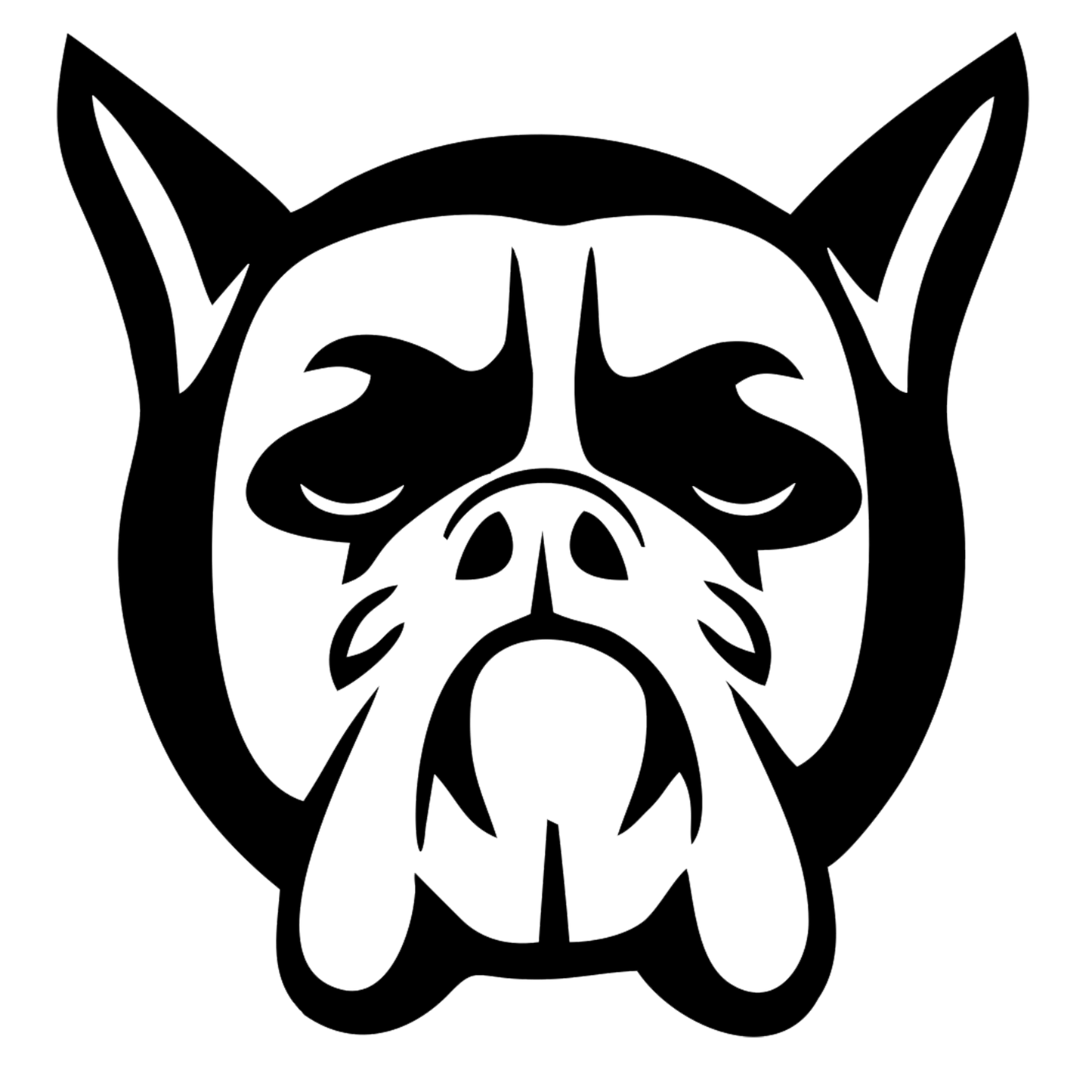 Gait Analysis Bookings Bog Dog Running