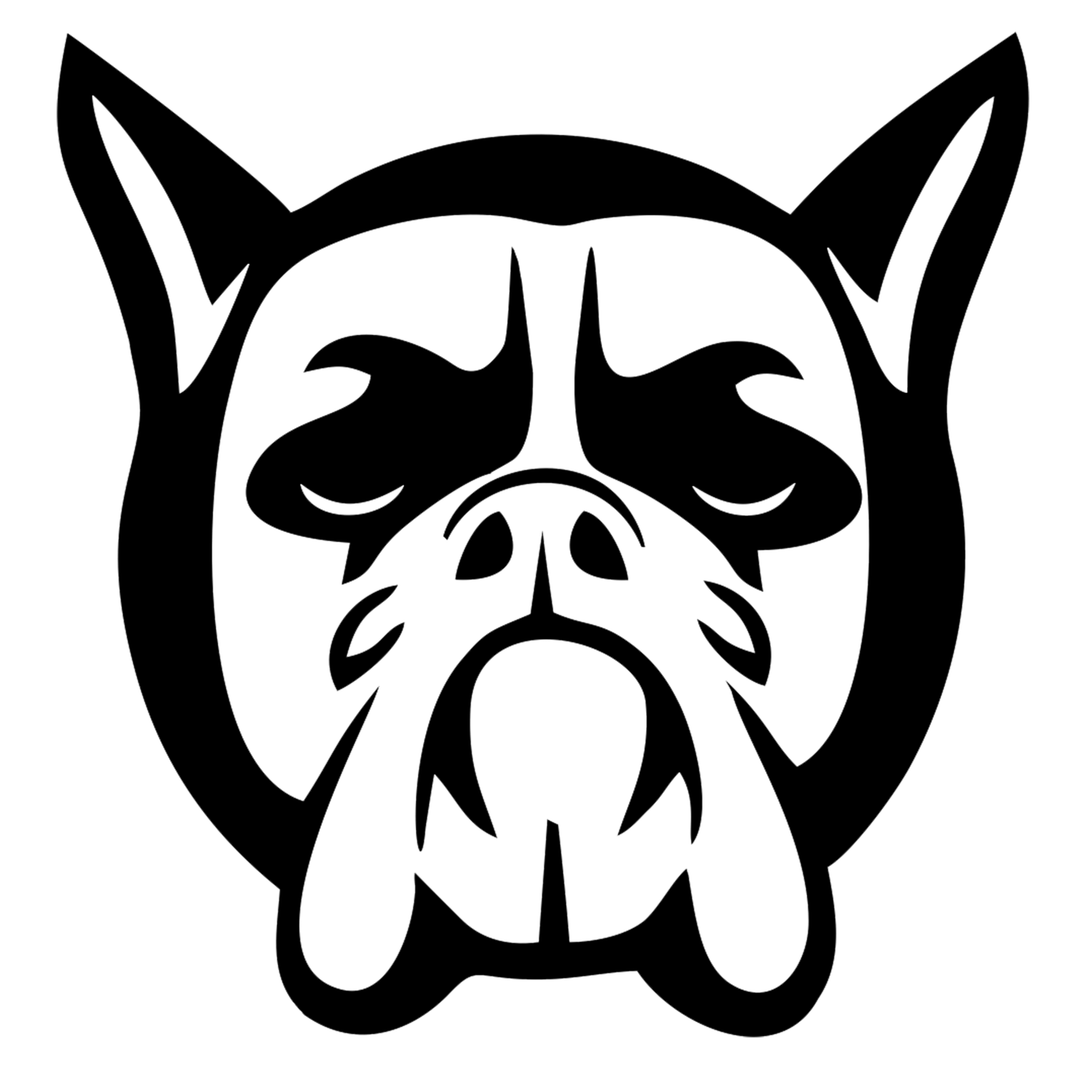 Gait Analysis Bookings Bog Dog Running