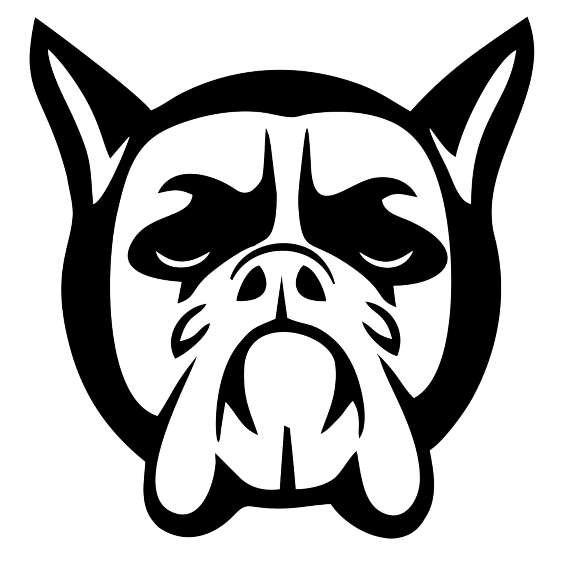 Gait Analysis Bookings Bog Dog Running