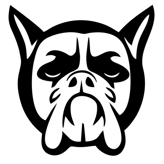 Gait Analysis Bookings Bog Dog Running