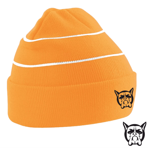 Bog Dog Enhanced - Viz Beanie Bog Dog Running