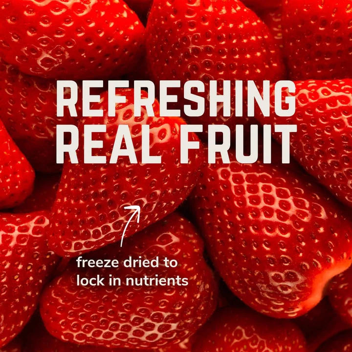 Veloforte Attivo Electrolyte Powder Bog Dog Running