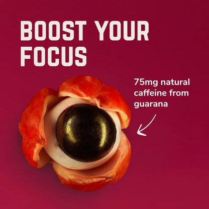 Veloforte Attivo Electrolyte Powder Bog Dog Running