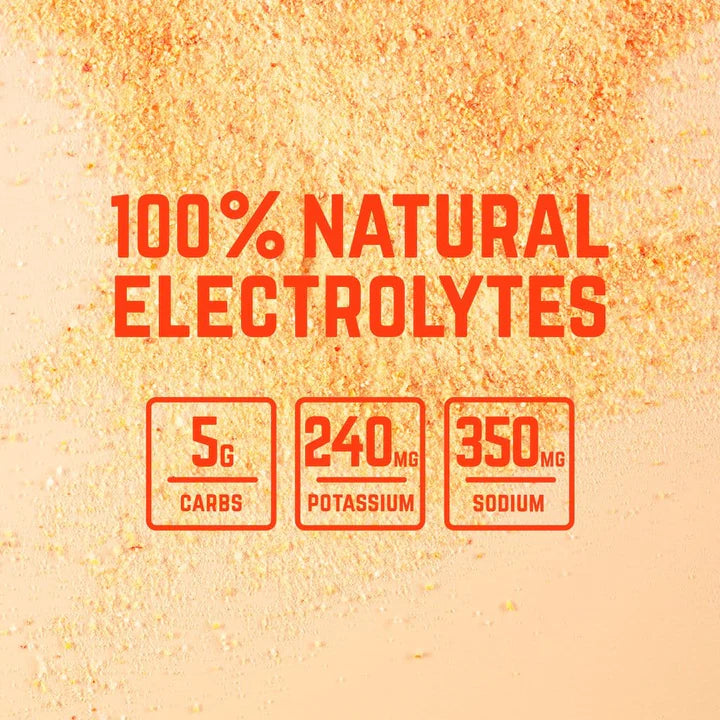 Veloforte Solo Electrolyte Powder Bog Dog Running