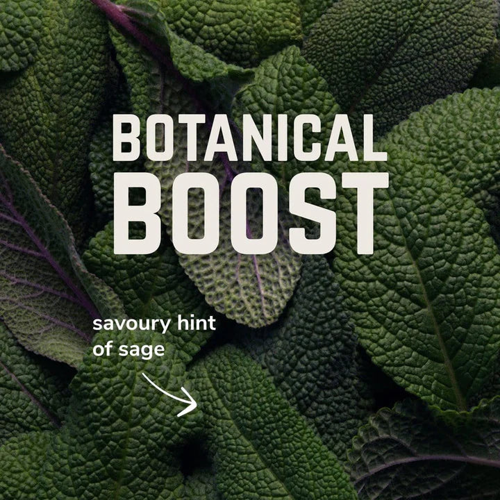 Veloforte Solo Electrolyte Powder Bog Dog Running