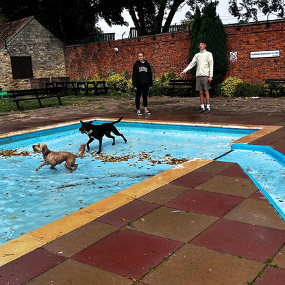 dog pool party