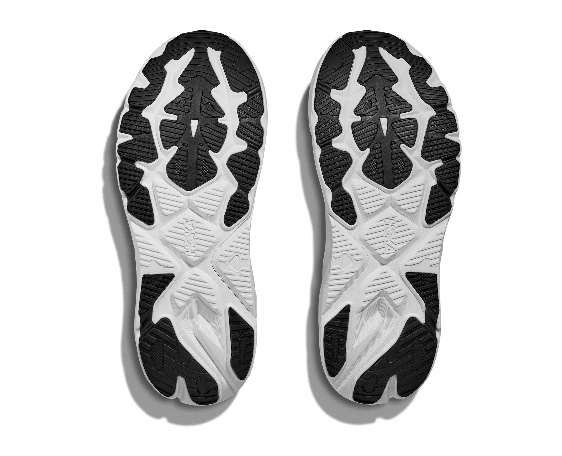 Hoka Arahi 8 Women's WIDE Running Shoe - Bog Dog Running