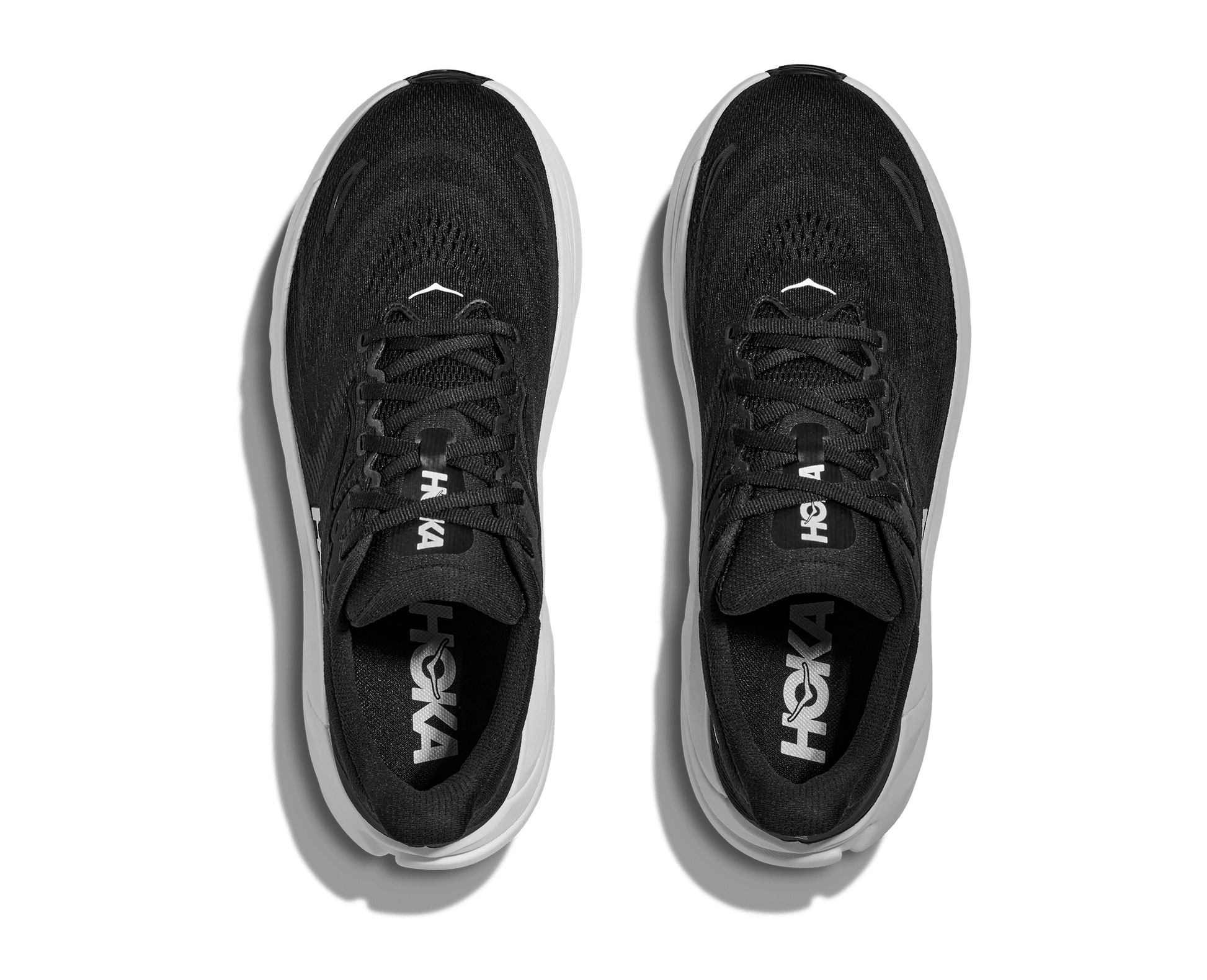 Hoka Arahi 8 Women's WIDE Running Shoe - Bog Dog Running