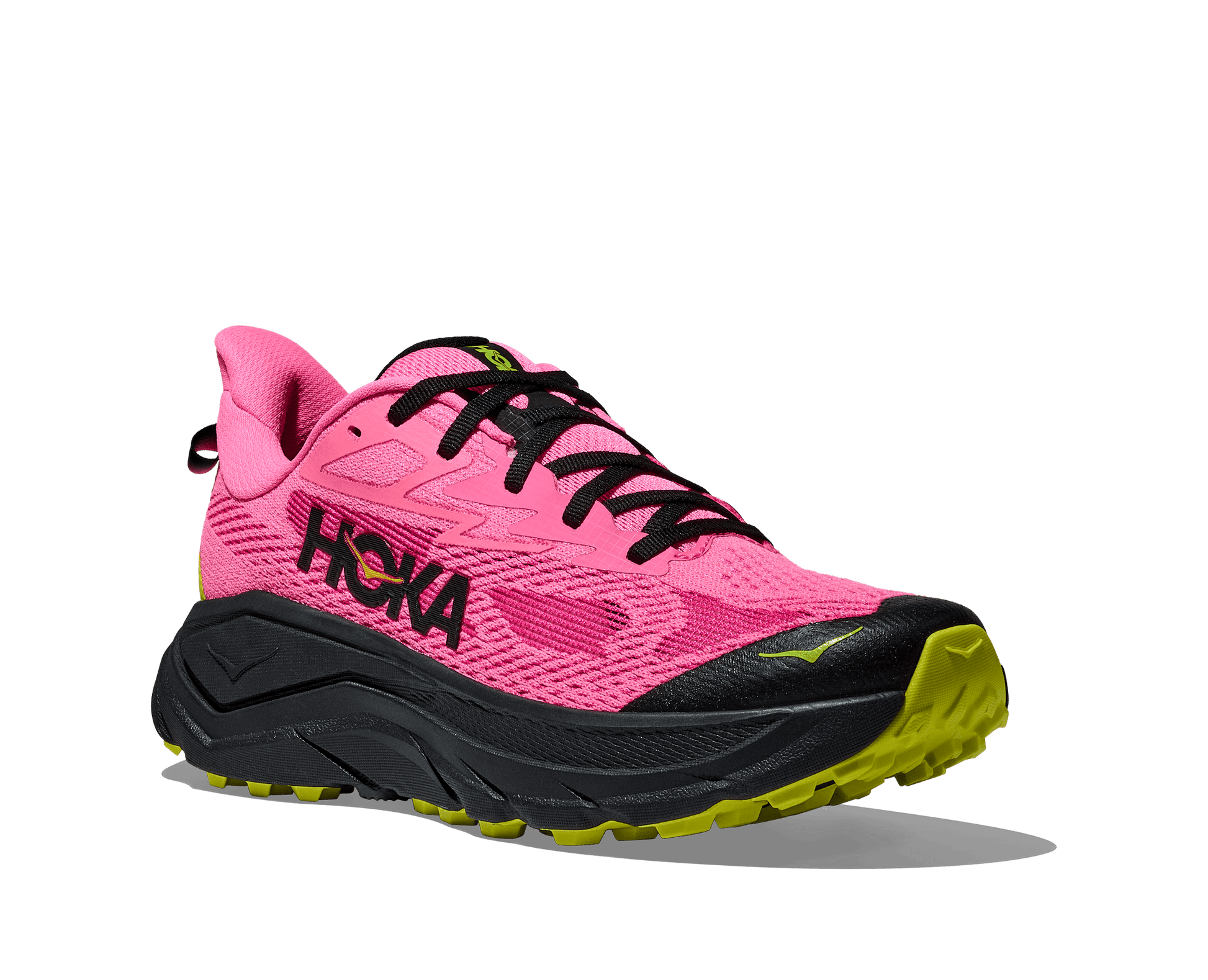 Hoka  Challenger 8 Women's Running Shoe - Bog Dog Running