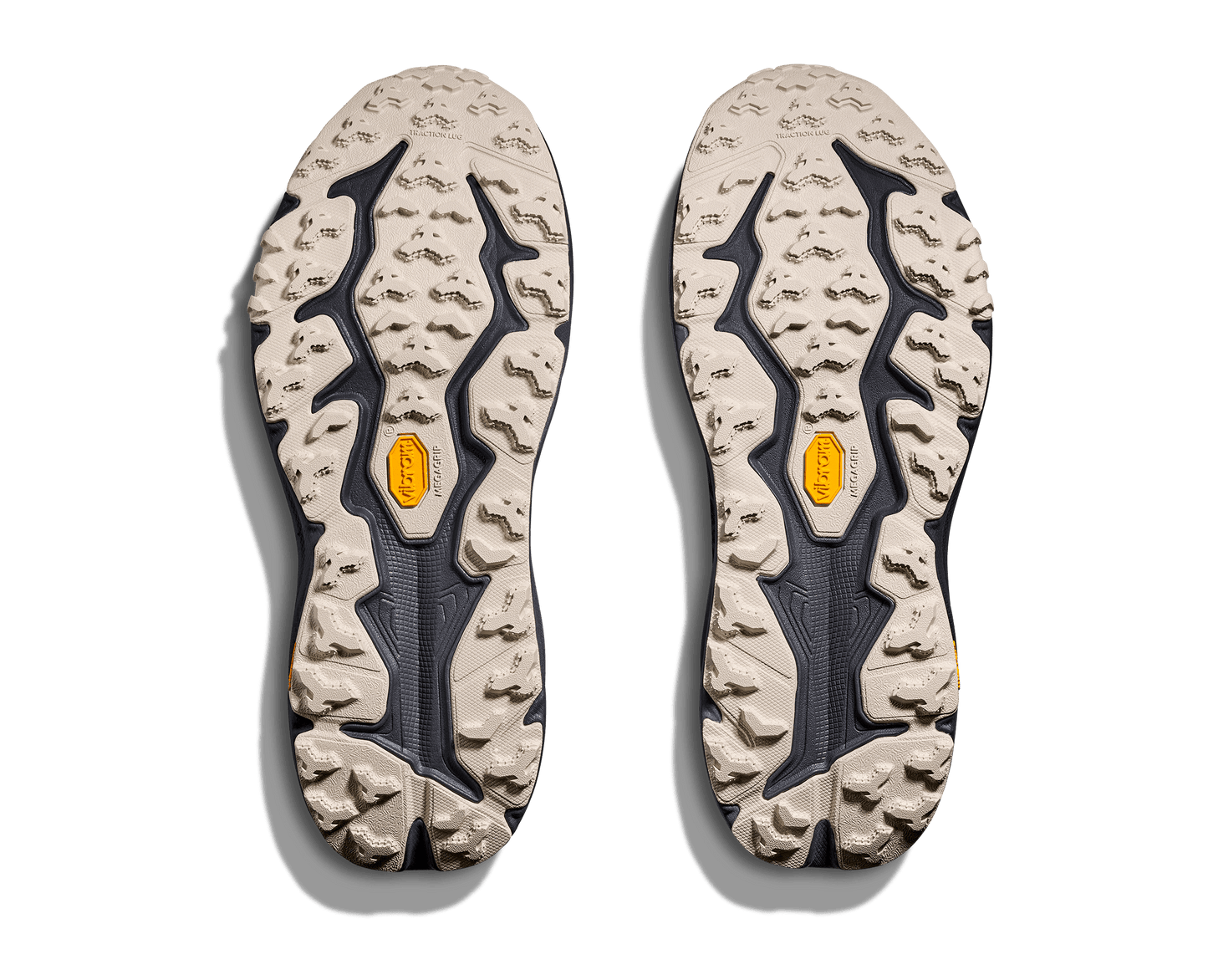 Hoka Speedgoat 6 GTX Men's Trail Running Shoe - Bog Dog Running