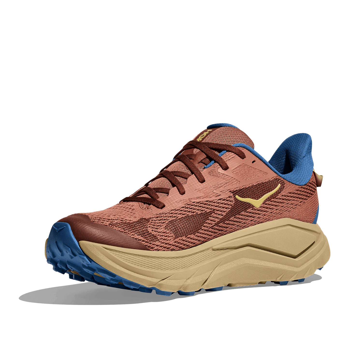 Hoka Challenger 8 Men's Running Shoe - Bog Dog Running