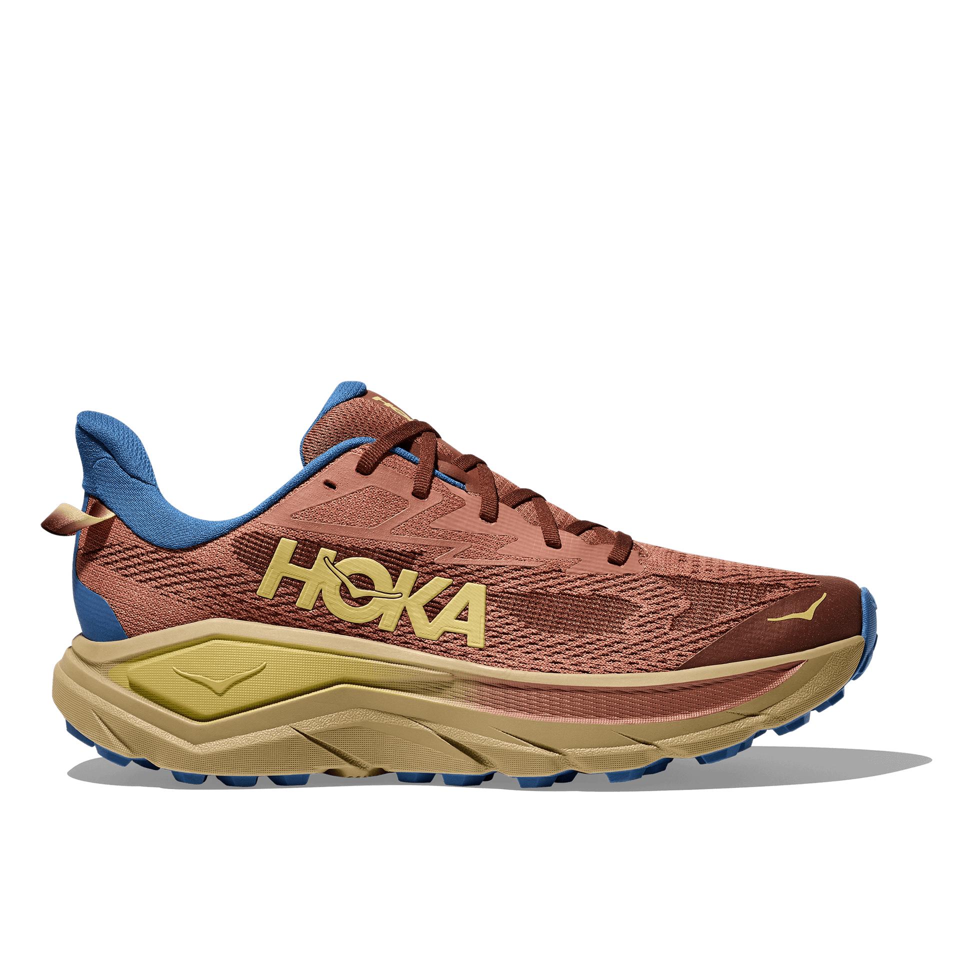 Hoka Challenger 8 Men's Running Shoe - Bog Dog Running