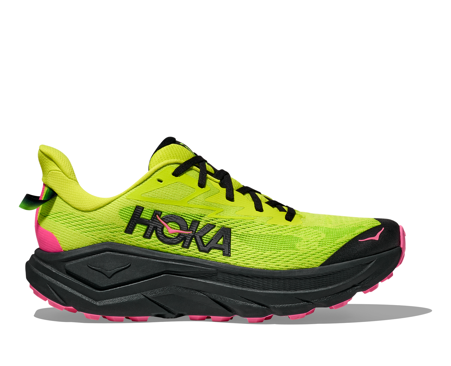 Hoka Challenger 8 Men's Running Shoe - Bog Dog Running