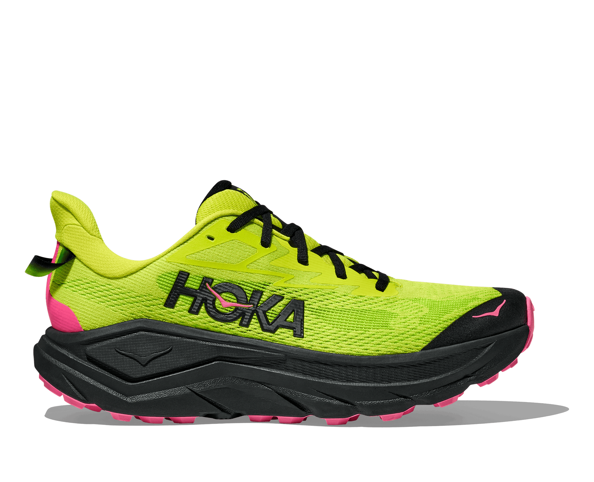 Hoka Challenger 8 Men's Running Shoe - Bog Dog Running