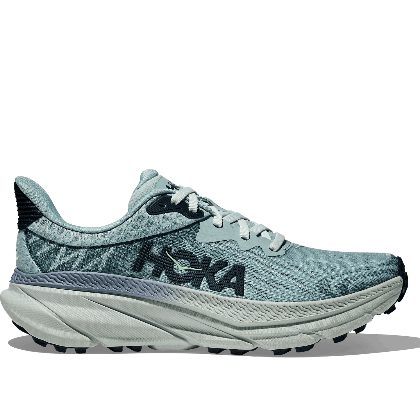 Hoka Challenger ATR 7 Women's Running Shoe - Bog Dog Running