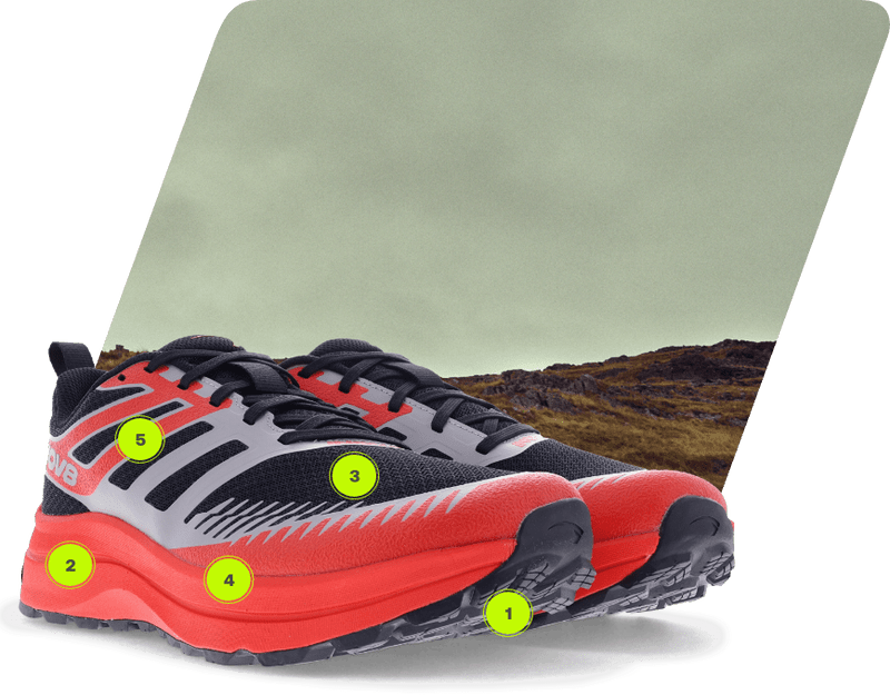 Inov8 TrailFly Max Women's Trail Running Shoe - Bog Dog Running