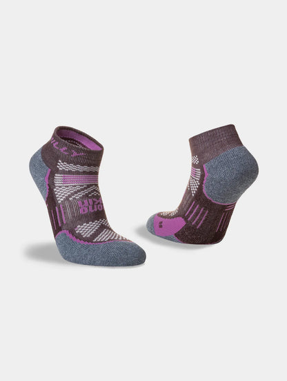 Hilly Supreme Maximum Cushion Quarter Sock - Bog Dog Running